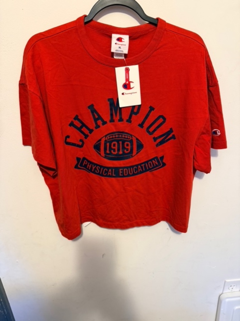 Champion oversized crop top